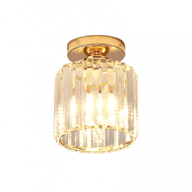 Ceiling Light 18021 / 1