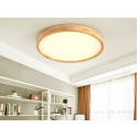 Ceiling Light 3027 / 400