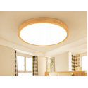 Ceiling Light 3027 / 400