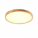 Ceiling Light 3027 / 400