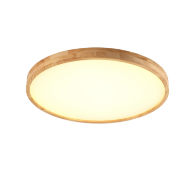 Ceiling Light 3027 / 400