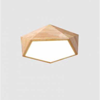 Ceiling Light 3352-420