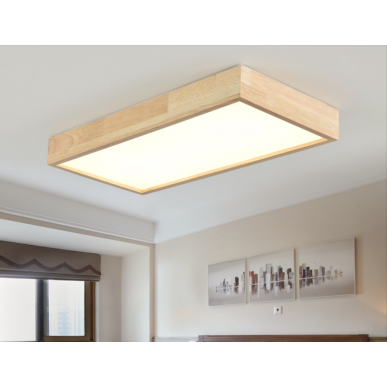 Ceiling Light 4163 / 36W