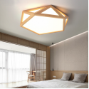 Ceiling Light 420