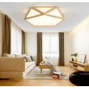 Ceiling Light 420