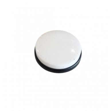 Ceiling Light 472 / 15W Ceiling Light 472 / 15W