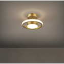 Ceiling Light 5031