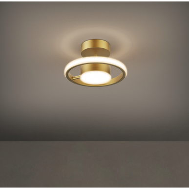 Ceiling Light 5031