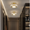 Ceiling Light 5031