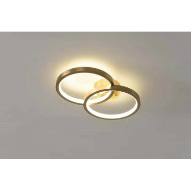 Ceiling Light 5050