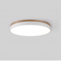 Ceiling Light BW403