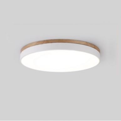 Ceiling Light BW403