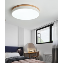 Ceiling Light BW403