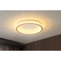 Ceiling Light 18006-400, 18007-500