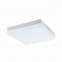 Ceiling Light 2024 Square, Round