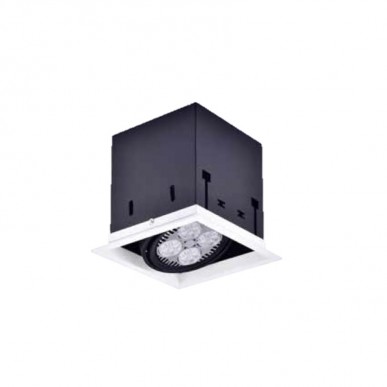 Downlight & Ceiling 921-1L Downlight & Ceiling 921-1L