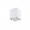 Ceiling Light 923-1C, Black & White