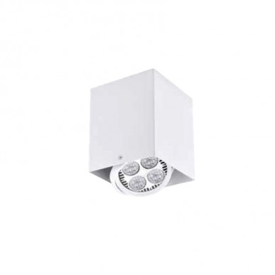 Ceiling Light 923-1C, Black & White Ceiling Light 923-1C, Black & White