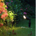 Outdoor Light 8535