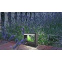 Outdoor Light W-17501-DG 