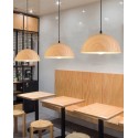 Pendant Light 0024 / 400