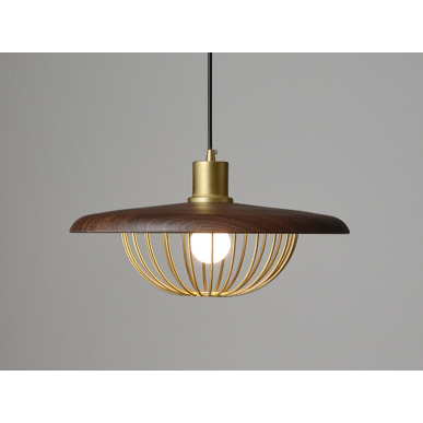 Pendant Light 1910-S