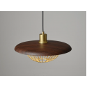 Pendant Light 1910-S