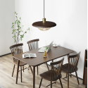 Pendant Light 1910-S