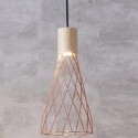 Pendant Light 5017