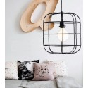 Pendant Light 6570 / 1