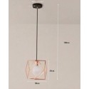 Pendant Light 6720 / 1