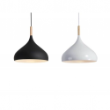 Pendant Light 6735 / 420MM Black, White