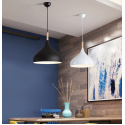 Pendant Light 6735 / 420MM Black, White