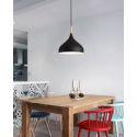 Pendant Light 6735 / 420MM Black, White