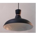 Pendant Light 6838 / 1