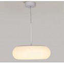 Pendant Light MD 8076 / 500