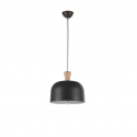 Pendant Light 8261 / 1