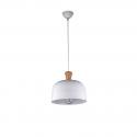 Pendant Light 8261 / 1