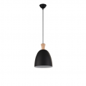 Pendant Light 8262 / 1