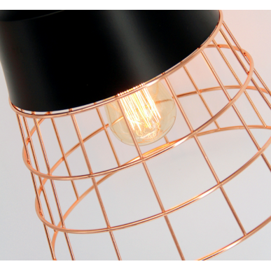 Pendant Light 8268 / 1