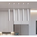 Pendant Light QY-H1009