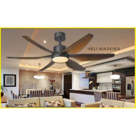 Ceiling Fan